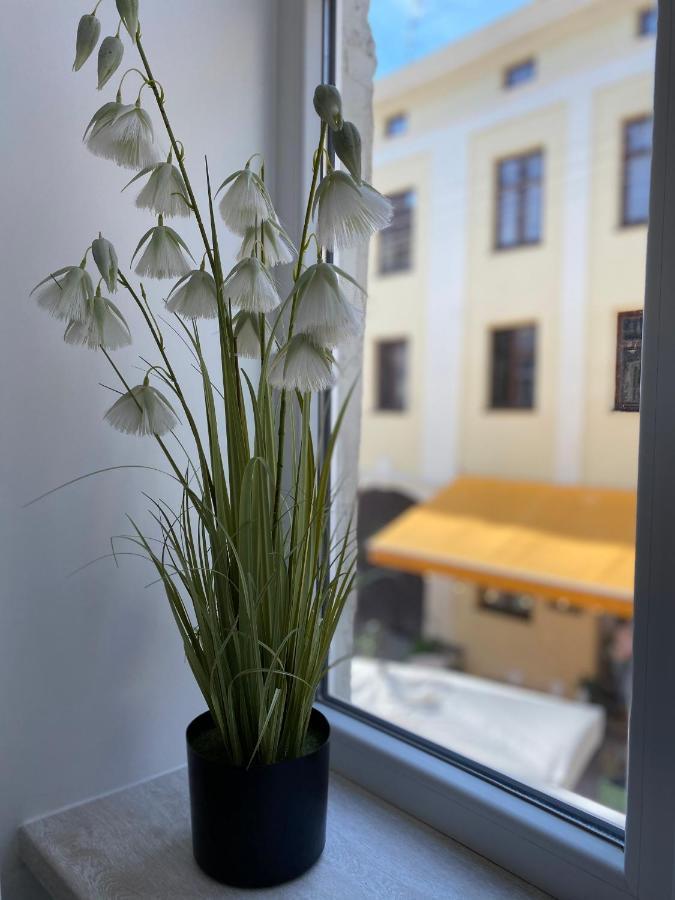 Homelike Apartment Lviv Kültér fotó